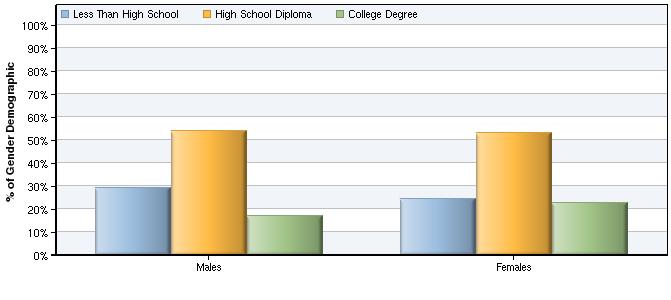 Educational Attainment by Gender In the region, females have lower high school attainment rates and higher college degree attainment rates compared to