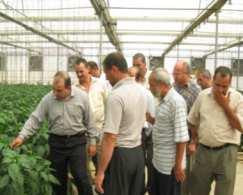 store ) UNIDO has very successfully completed a first pilot programme in Egypt to test the