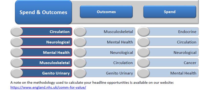 The CCG focus will target areas on the left with initial specific Primary Care focus across CVD and mental health.