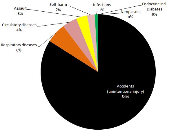 % of total preventable causes of A&E attendances