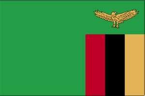 2010 Statistics for Zambia Zambia Area: 752,618 Km 2 Population :