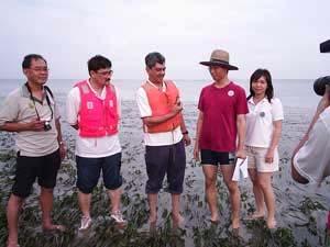 153 Galloping to seahorse rescue The New Straits Times 22 Aug 2005 Johor Baru, Sun - The Port of Tanjung Pelepas (PTP) is willing to work with a group of conservationists to save a seagrass bed at
