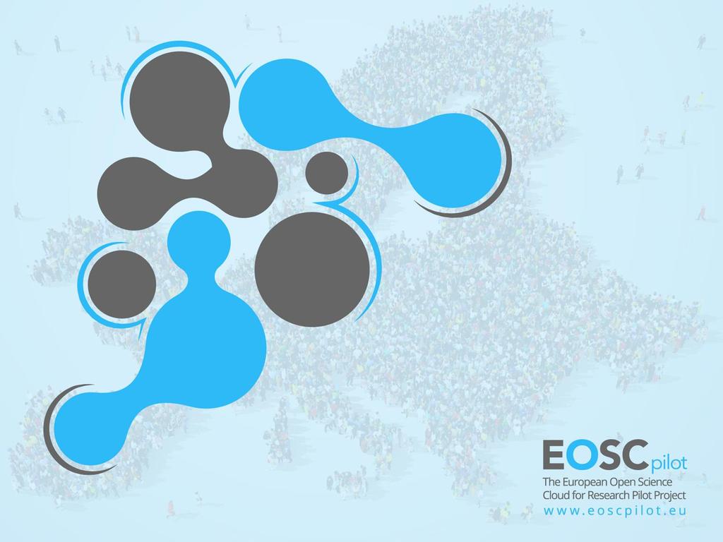 Governance and Sustainability of EOSC Ambitions, Challenges and Opportunities
