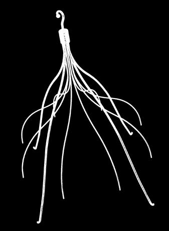 UW MEDICINE PATIENT EDUCATION Angiography: Inferior Vena Cava (IVC) Filter How to prepare and what to expect This handout explains what an inferior vena cava filter is and what to expect when you