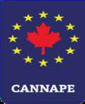 Canada-EU coordinated call for proposals in Aeronautics
