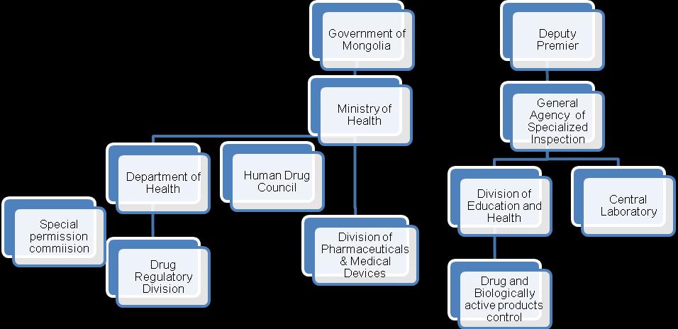 Annex 5 Organogram of Drug