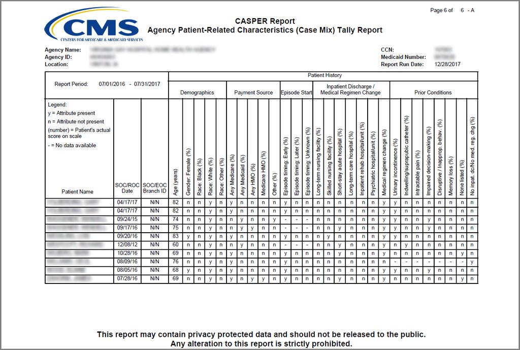 Figure 6-5. Agency Patient-Related Characteristics Tally Report* * Fictitious, sample data are depicted.