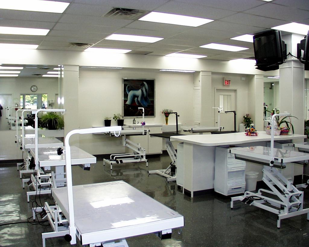 Salon requirements in reference to overall facility, equipment, products and tools.