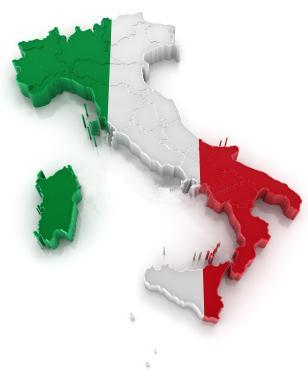The Italian health care system The system is funded mainly through direct and indirect regional taxes System The Italian National Health care System (Servizio Sanitario Nazionale SSN) is a