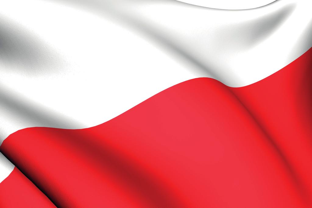Invest in Poland! GDANSK OLSZTYN POZNAN WARSAW WROCLAW CRACOW Why Poland?