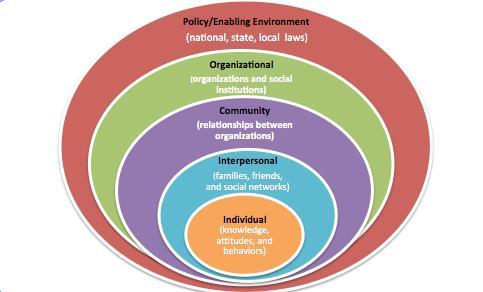 Literature Results Social Ecological Model Tip: When planning an intervention, use the Social Ecological Model to ensure that all factors are being considered.
