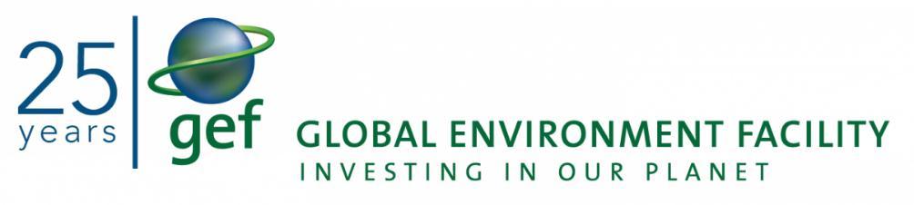 Annex [English only] Report of the Global Environment Facility to the Twenty-second Session of the