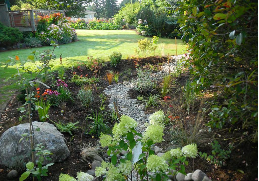 History In 2009, the Kitsap Board of Commissioners asked the Public Works Stormwater Division to propose a rain garden program with the goal of installing 1,000 rain gardens in unincorporated Kitsap