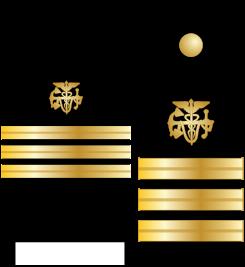 Commissioned Corps Insignia Shoulder and Sleeve Insignia Ensign/O-1 Junior