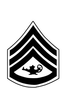 Cadet Staff Sergeant Cadet Gunnery
