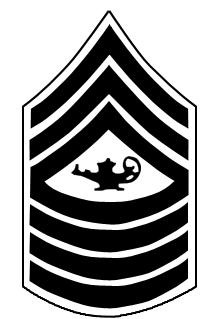 Cadet Sergeant Major MCJROTC CADET
