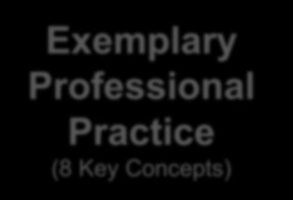 Magnet Component #3: EXEMPLARY PROFESSIONAL PRACTICE ANCC CONSIDERS EPP THE TRUE ESSENCE