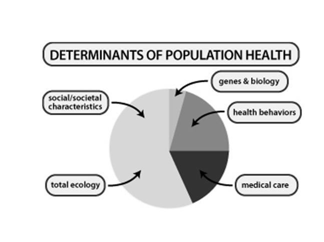 What are determinants of health and how are they related to social determinants of health Determinants of health are factors that contribute to a person's current state of health.