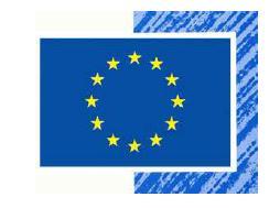 1 The Logo In order to ensure a harmonised visual identity for information and communication measures for operations under the Programme, beneficiaries must display the European Union emblem together