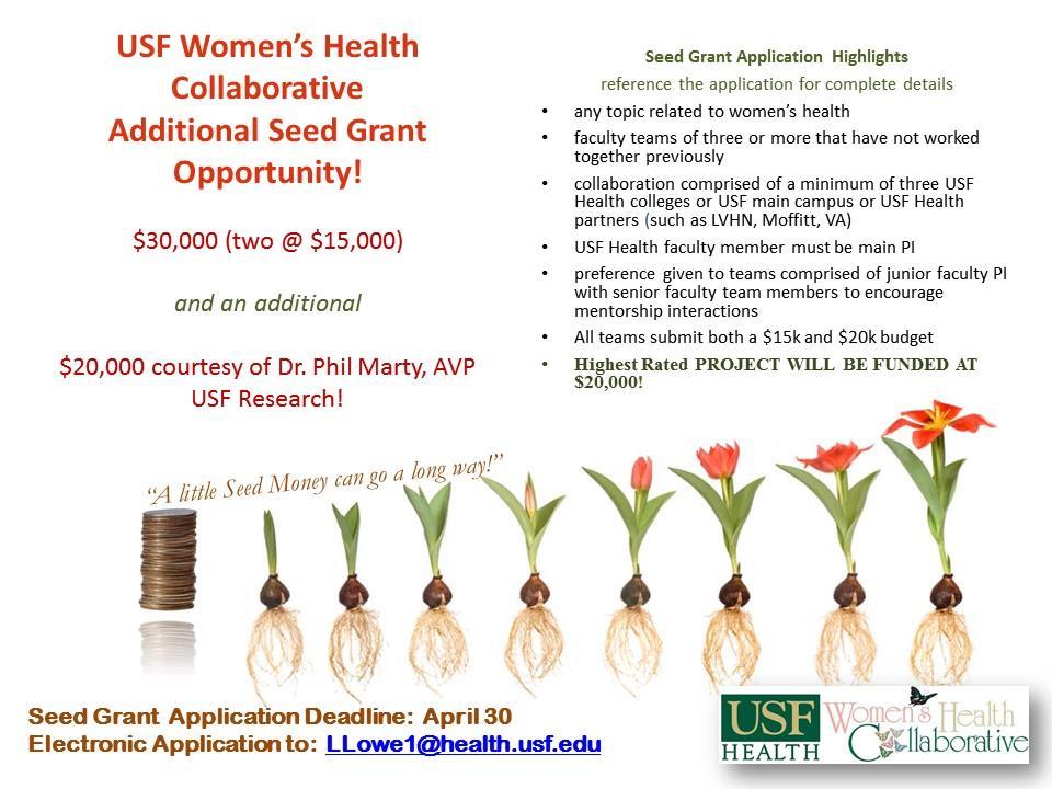 Research Collaboration SEED GRANTS Additional information