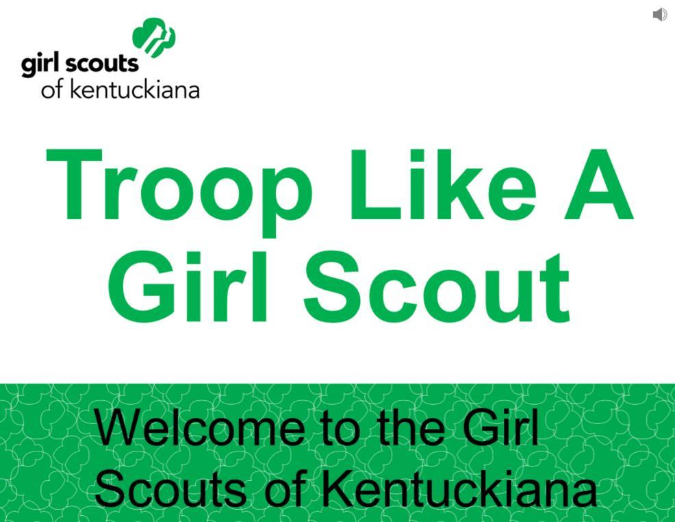 Welcome to Troop Like A Girl Scout!
