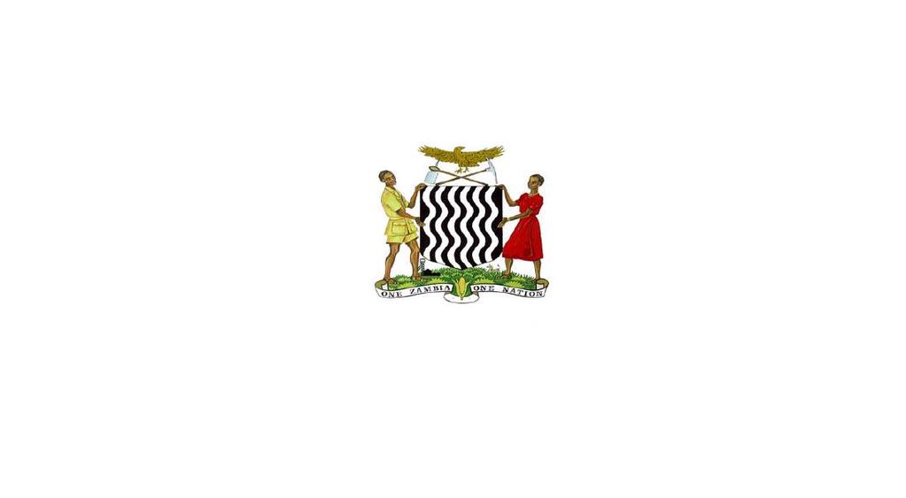 Public Disclosure Authorized GOVERNMENT OF THE REPUBLIC OF ZAMBIA SFG1928 V5 Public Disclosure Authorized MINISTRY OF HEALTH Public Disclosure Authorized SOUTHERN