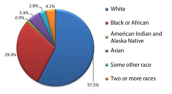 Figure 7. Population by race, Sy