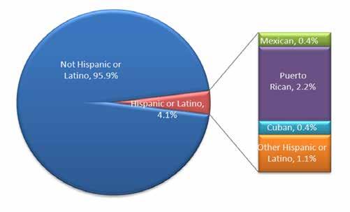 1%, Figure 8). This represents a 70 percent increase in Hispanic ethnicity from the 2000 U.S. Census.