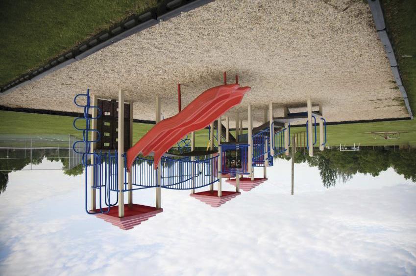 025 PLAYGROUND ROUTINE VISUAL INSPECTIONS 1 Day training & RPII assessment Anyone responsible for carrying out routine visual (daily/weekly) inspections of children s play equipment or play areas.