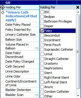 EHR Workflow The following figures show the additions made in the nursing EHR to prompt discontinuation of the catheter. In the I-view genitourinary assessment section (Figure 3), Voiding Per.