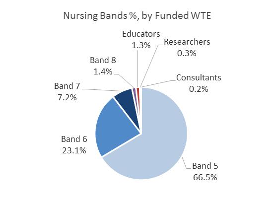 Chart 1 Chart 1 provides an overview of how nursing establishments are divided by band.