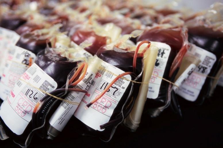 Section 3: Blood Transfusion Accept transfusion of blood products, including