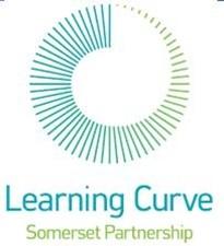 Learning Curve - TERMS AND CONDITIONS Learning Curve shall provide training services in accordance with the following terms and conditions.