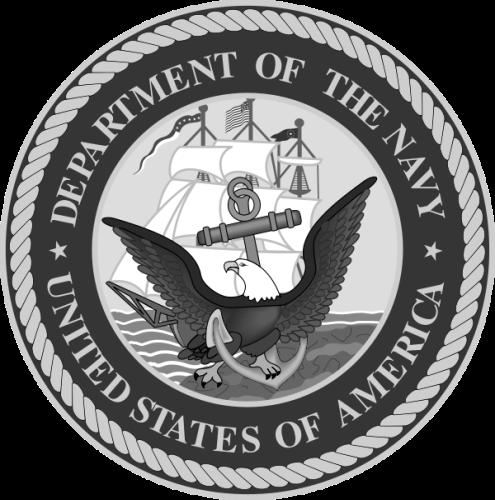 DEPARTMENT OF THE NAVY FISCAL YEAR