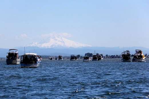 Coast Guard Auxiliary photo by Joann McCollum. COLUMBIA RIVER, Oregon Lined up boaters catch a view of Mt.