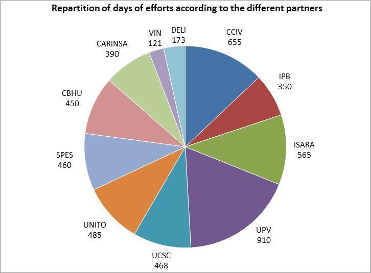 Figure 9: Repartition of the efforts between partners and of the budget between