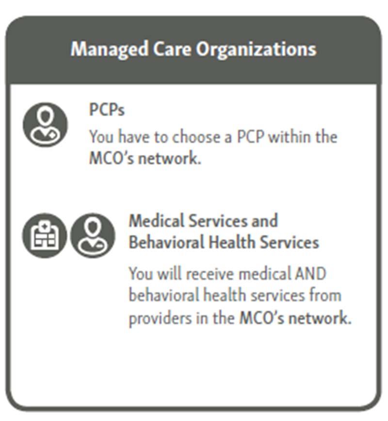 Managed Care Organization (MCO) When can members select or change their PCP or Plan? During the Plan Selection Period, members can select MCOs directly.