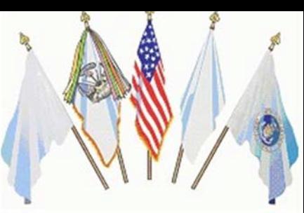 AFI34-1201 4 OCTOBER 2006 13 Figure 2.3. Flag of the United States Displayed with Other Flags Radiating from a Central Point. 2.10.3.2. When a number of flags are displayed from staffs set in a line, all staffs will be of the same height and same finial.