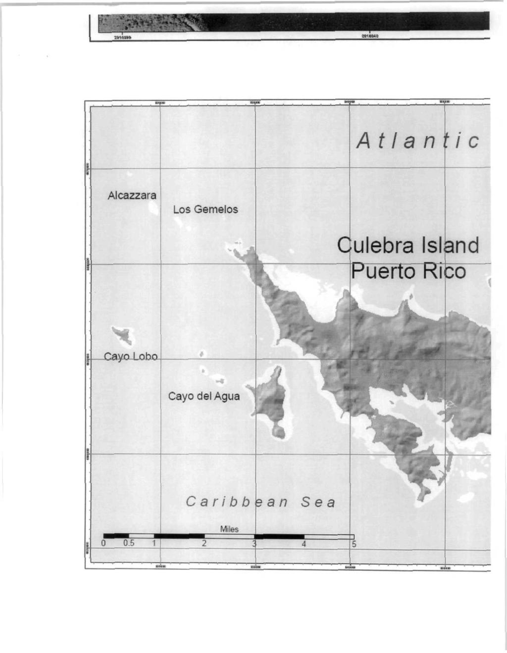 Atlantic Alcazzara Los Gemelos Culebra Island PueTtd~RTco~