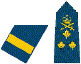 Major General (MGen) The rank of Major General is identified by two maple leafs under the swords.