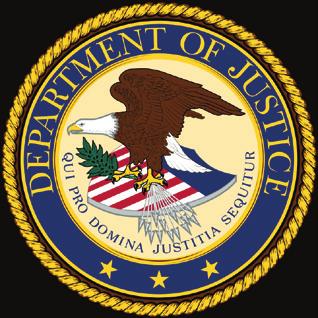 FIGURE 6: Department of Justice Organizational Chart So