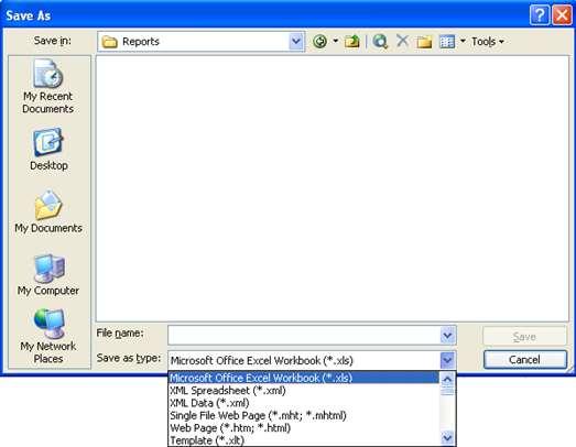 6. Select Microsoft Excel Workbook (*.xls) from the list of file type options.