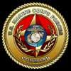 Command (SOUTHCOM), U.S. Northern Command (NORTHCOM), U.S. European Command (EUCOM), U.S. Central Command (CENTCOM), U.S. Africa Command (AFRICOM), U.S. Strategic Command (STRATCOM), U.S. Cyber Command (CYBERCOM), and U.