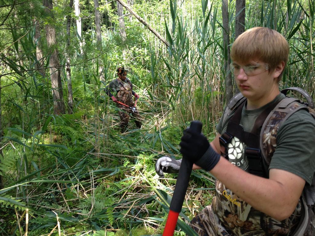 MDHHS Partners with Forestry Service to Teach At-risk Youth Job Skills Wearing T-shirt and camouflage jeans, 16-year-old David Bailey used a trimmer to cut away invasive wetland reed in the Manistee