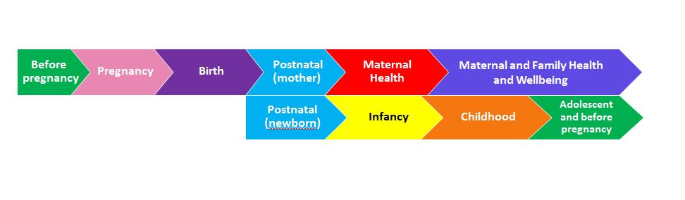 Figure 2: Life course pathways for mother, infant and