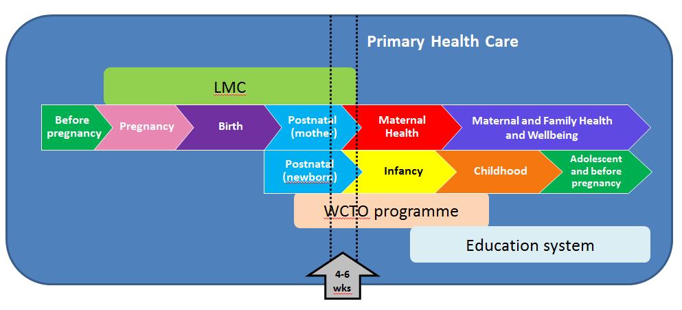 5. WCTO Providers Contracts and Obligations 5.