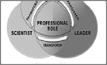 professional accountability through role
