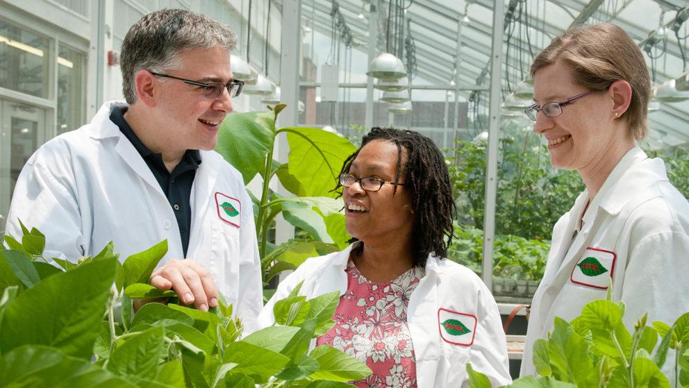 Plant Sciences Initiative Led by NC 
