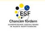 Synergies established during program planning Example 2-2 ERDF & ESF Challenges Synchronise call for ERDF support for infrastructure and ESF call for development of start-up projects with high