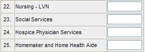 Section 6 - Hospice Services Lines 21-30: Visits by Type of Staff Total visits